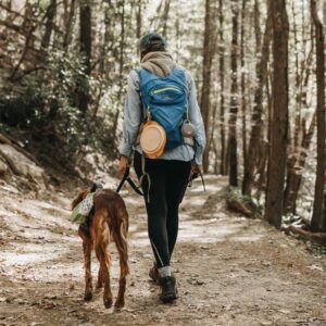 What is your favorite thing